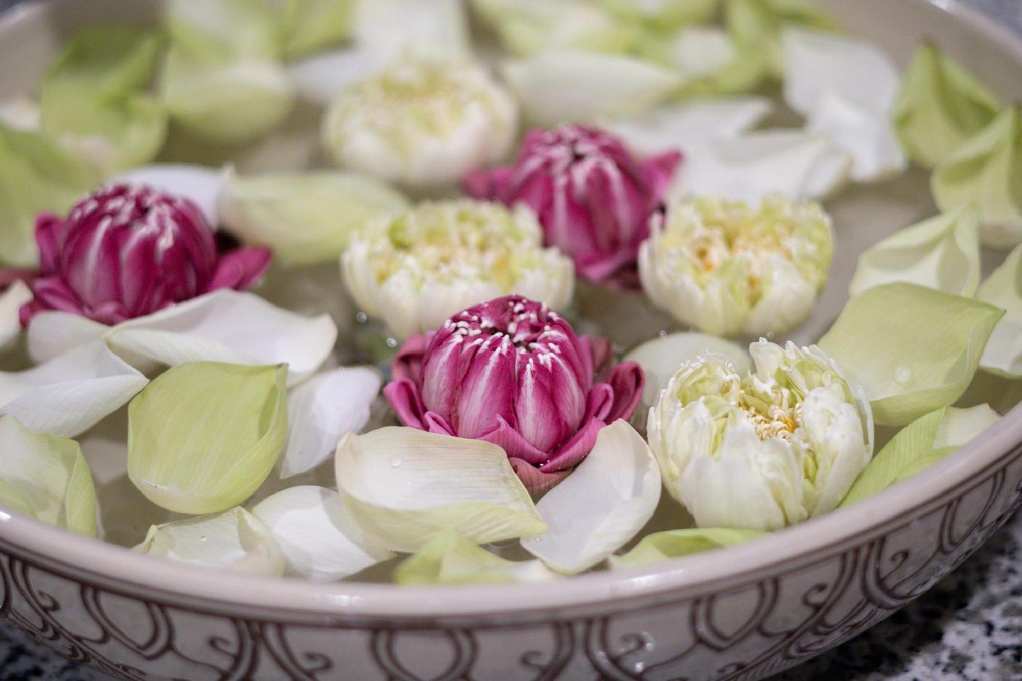 Two Seasons Siem Reap Hotel Экстерьер фото Thai lotus flowers